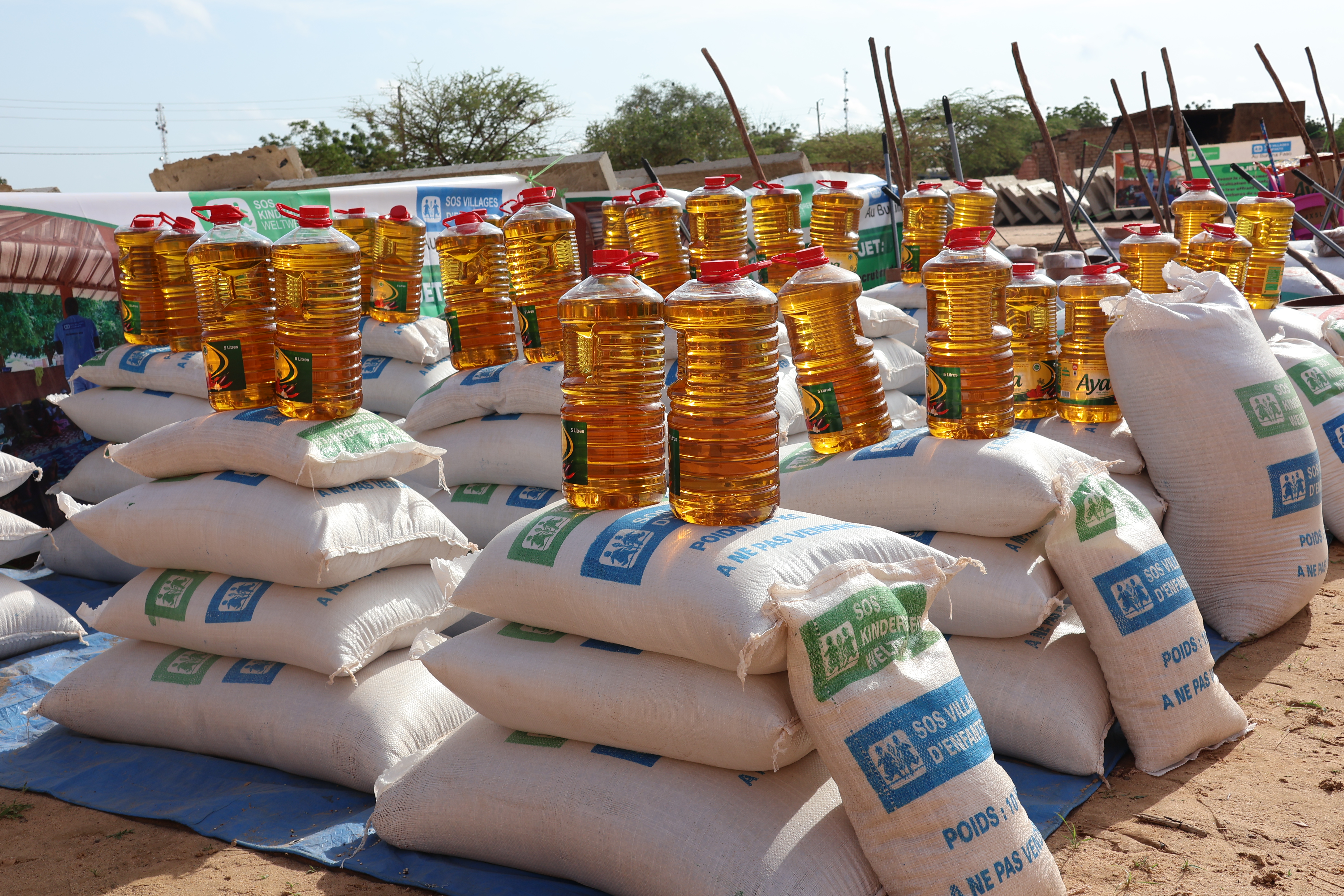 SOS Villages d’Enfants renforce les moyens d’existence de 100 ménages retournés à Pissila